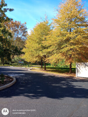 Schuylkill Trail Park