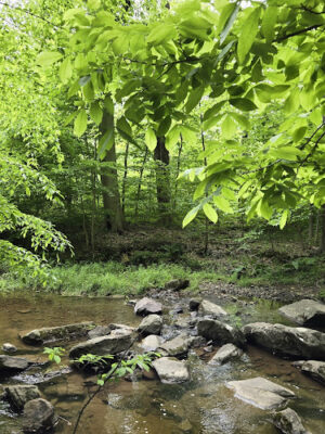 Sussell Park Trailhead