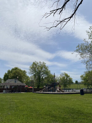 Terrace Lane Park