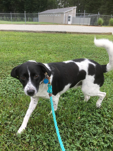 Acres of Fun Kennel - Powhatan, VA