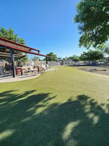 Willow Creek Beneful Dream Dog Park