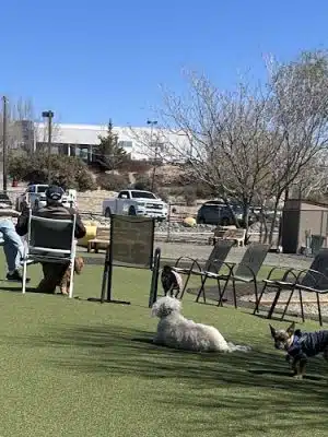 Willow Creek Beneful Dream Dog Park