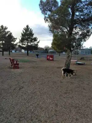 Town of Prescott Valley Dog Park