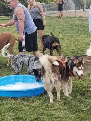 Town of Prescott Valley Dog Park