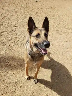 Town of Prescott Valley Dog Park