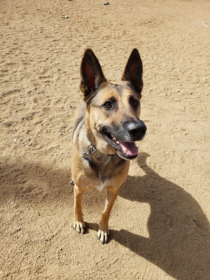 Town of Prescott Valley Dog Park - Prescott Valley, AZ