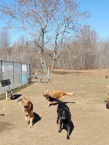 Grays Road Dog Park