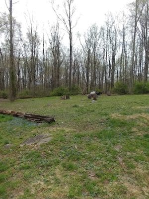 Rocky Top Dog Park (Membership req.)