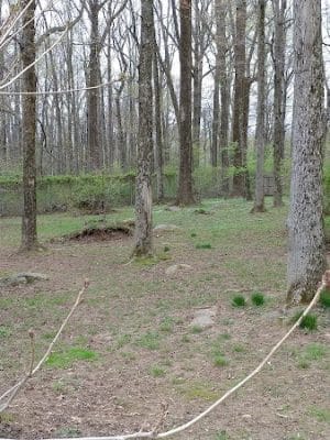Rocky Top Dog Park (Membership req.)