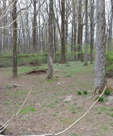 Rocky Top Dog Park (Membership req.)
