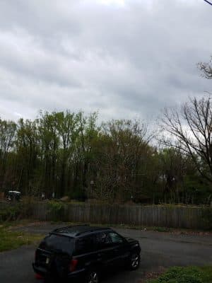 Rocky Top Dog Park (Membership req.)