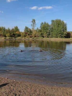 Cleary Lake Dog Park