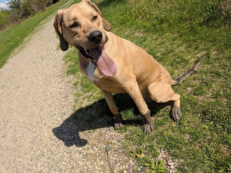 Cleary Lake Dog Park - Prior Lake, MN