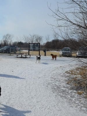 Cleary Lake Dog Park