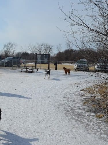 Cleary Lake Dog Park