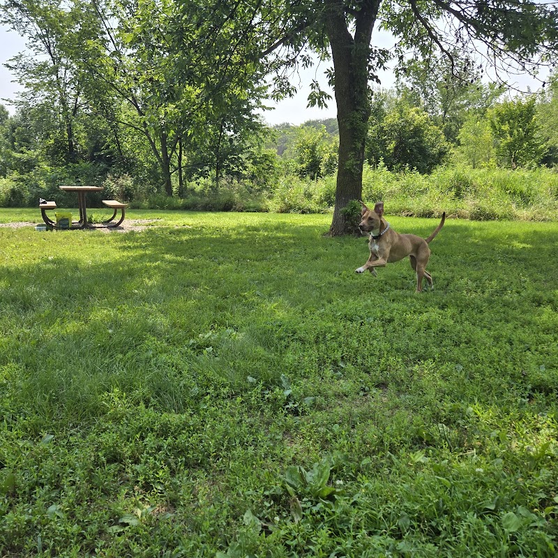 Spring Lake Dog Park - Prior Lake, MN
