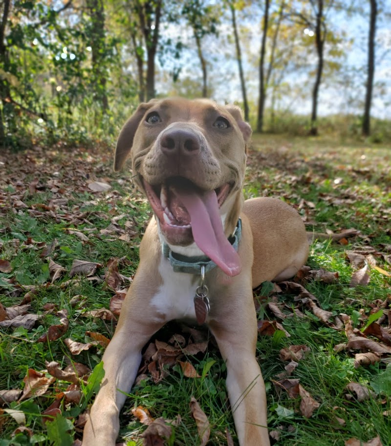 Spring Lake Dog Park - Prior Lake, MN