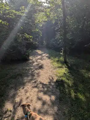 Spring Lake Dog Park