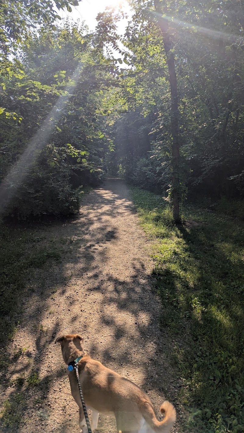 Spring Lake Dog Park - Prior Lake, MN