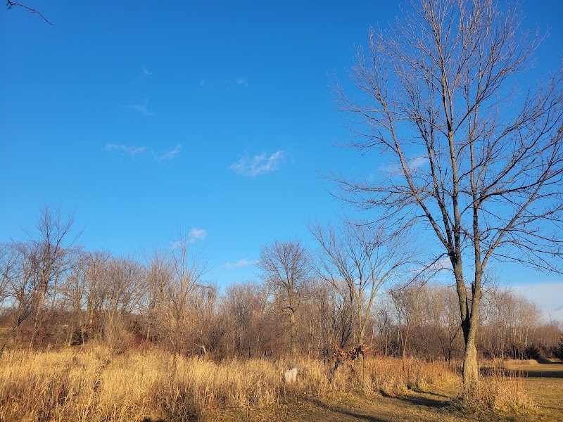 Spring Lake Dog Park - Prior Lake, MN