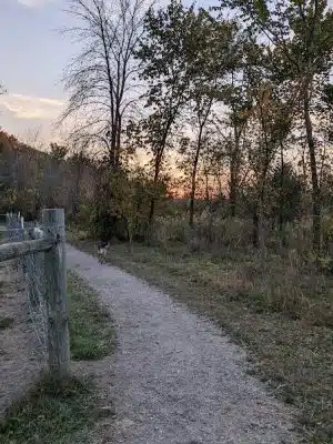 Spring Lake Dog Park