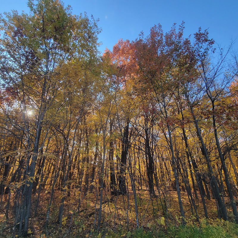 Spring Lake Dog Park - Prior Lake, MN