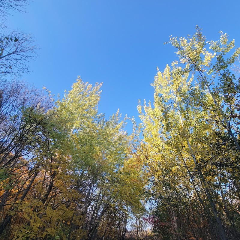 Spring Lake Dog Park - Prior Lake, MN
