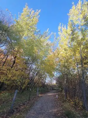 Spring Lake Dog Park
