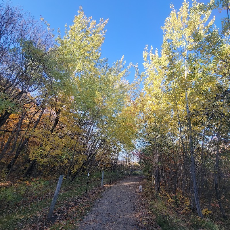 Spring Lake Dog Park - Prior Lake, MN