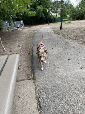 Franciscan Park