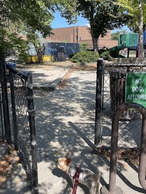 Sessions Street Park