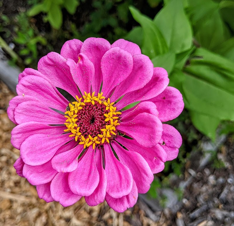 Sessions Street Park - Providence, RI