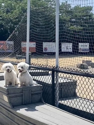 Pilgrim Bark Park