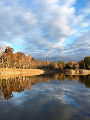 Backus Township Park