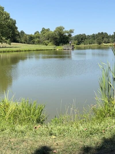 Franklin Park - Purcellville, VA