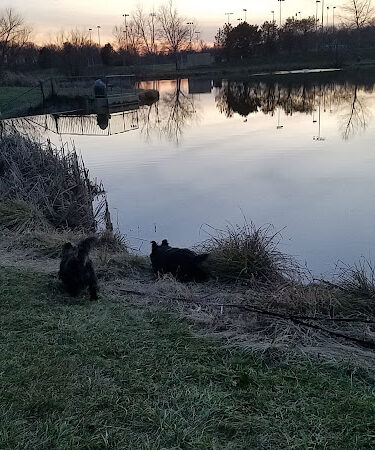 Franklin Park