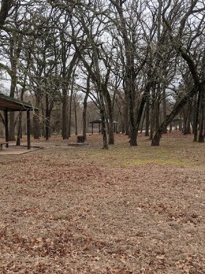Oak Park