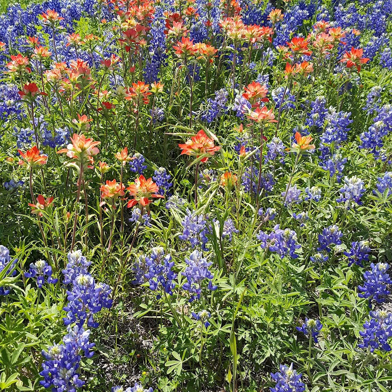 Pecan Point Park - Purdon, TX