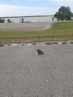 Pecan Point Park