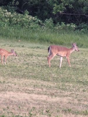 Wolf Creek Park