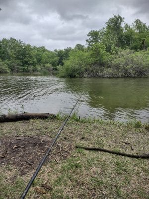 Wolf Creek Park