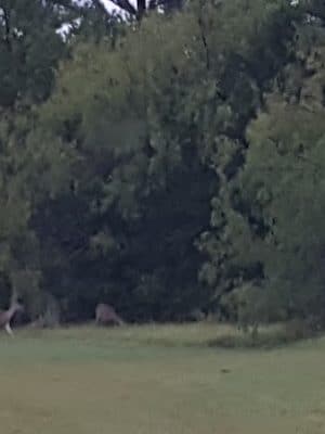 Wolf Creek Park