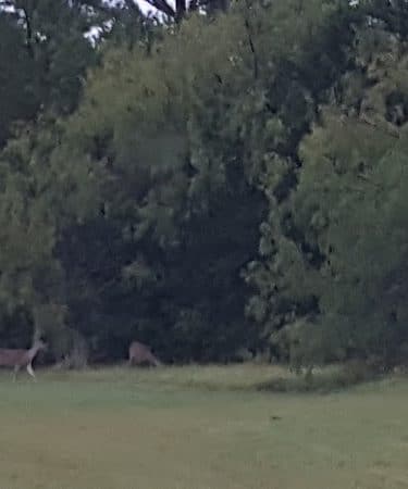 Wolf Creek Park