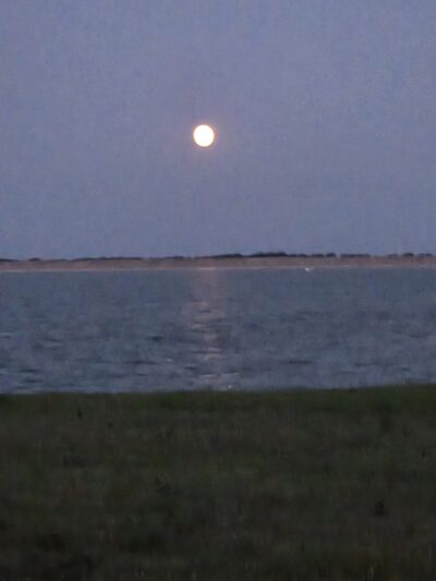 Wolf Creek Park - Purdon, TX