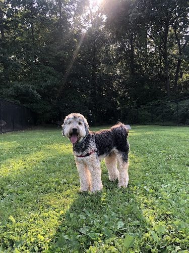 Putnam Valley Dog Park