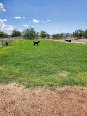 Quartzsite Dog Park - Quartzsite, AZ