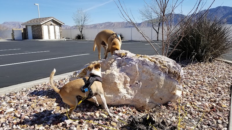 Quartzsite Dog Park - Quartzsite, AZ