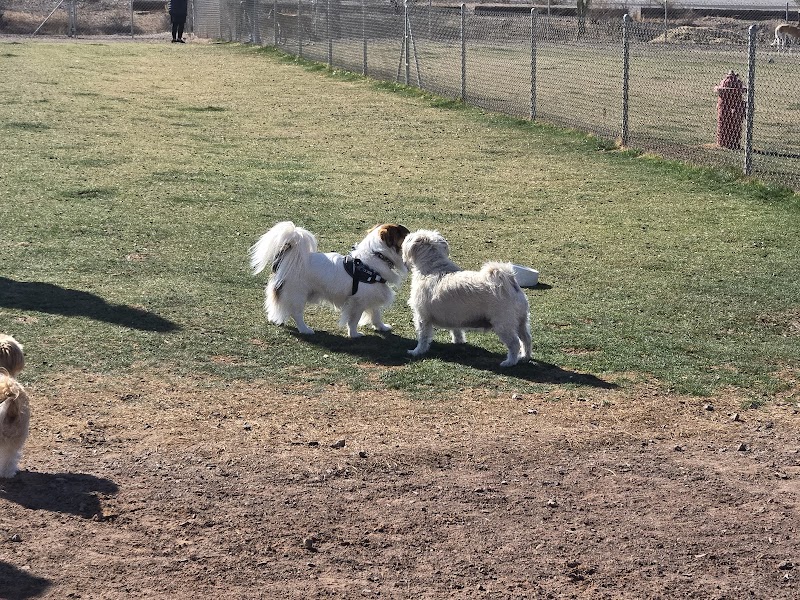 Quartzsite Dog Park - Quartzsite, AZ
