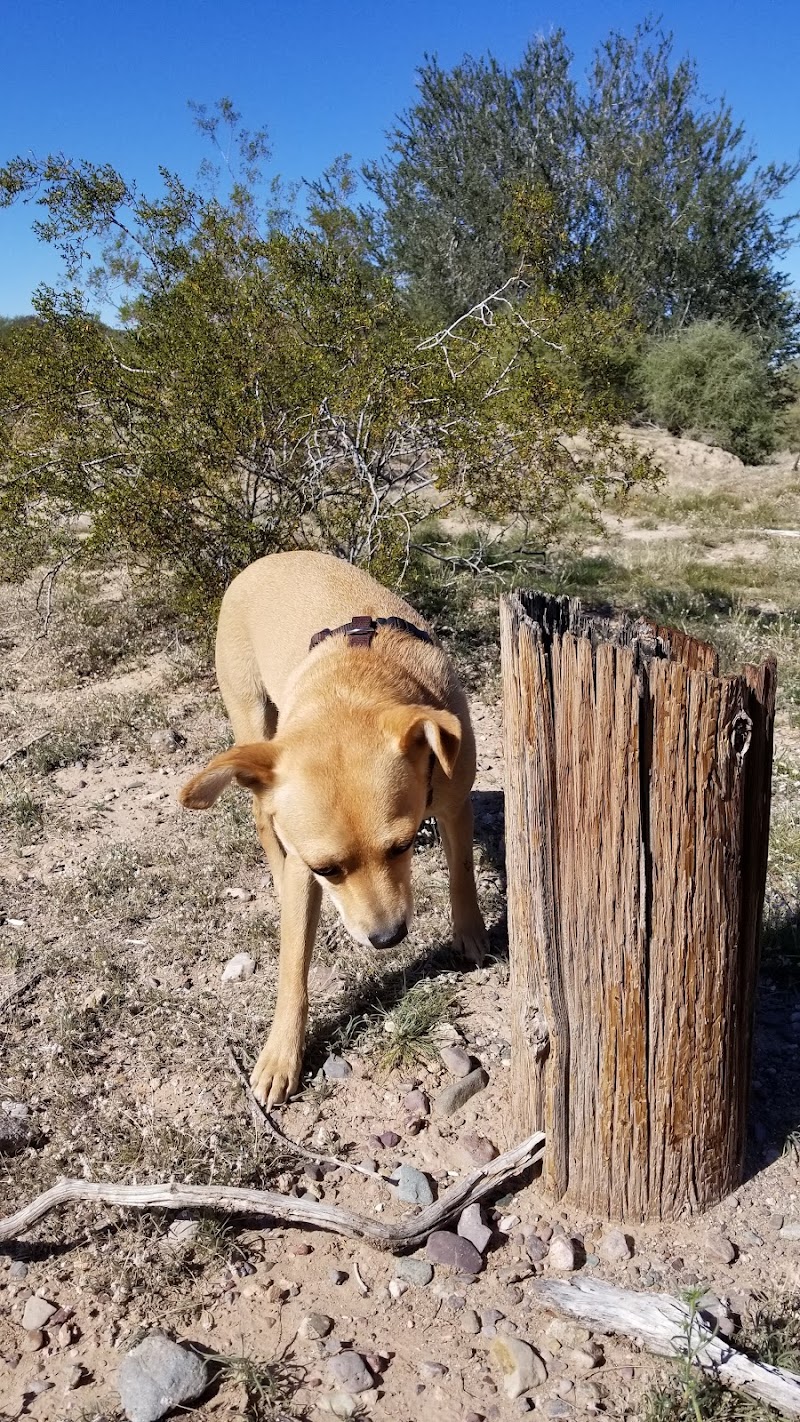Quartzsite Dog Park - Quartzsite, AZ