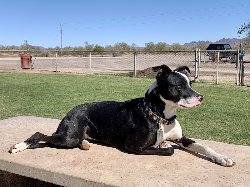 Quartzsite Dog Park - Quartzsite, AZ